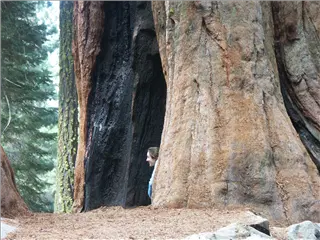 small_040521 caPICT4770.webp